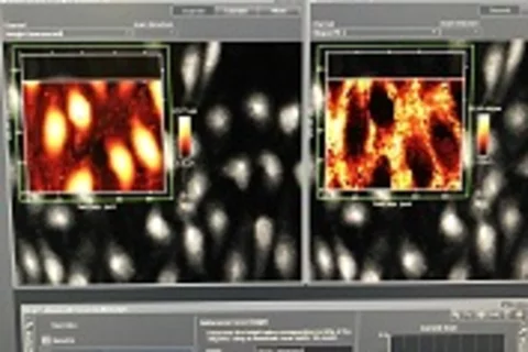 AFM Software Interface